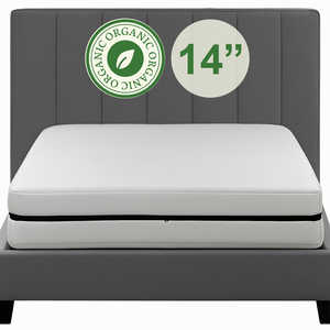 Contour 14" Organic Latex Top With Pocket Coil Core